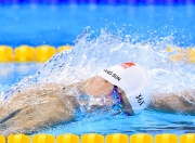 重返赛场首场状态出色，独行侠观众沸腾！穆雷重返赛场热度持续攀升