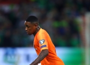 关于荷兰国家队力争晋级，迎战北愿队的信息