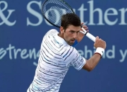 德国主场力克挪威，卫冕之路更显坚挺的简单介绍